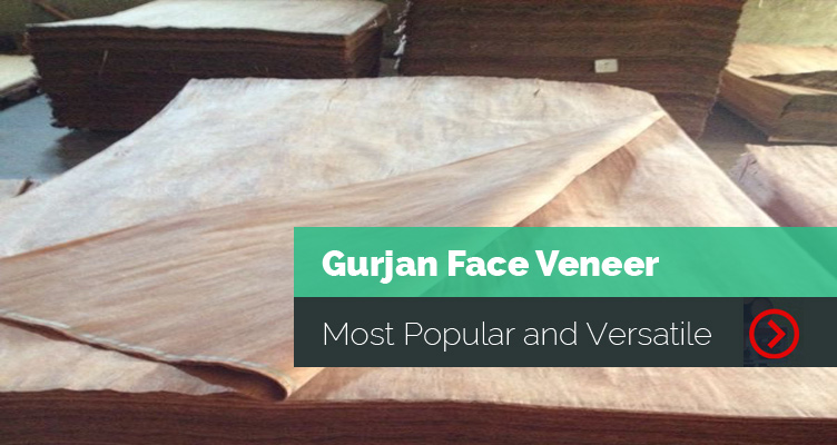 Gurjan Face Veneer